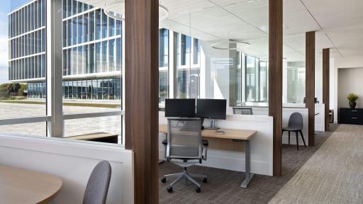 Offices with views to outdoors and natural light