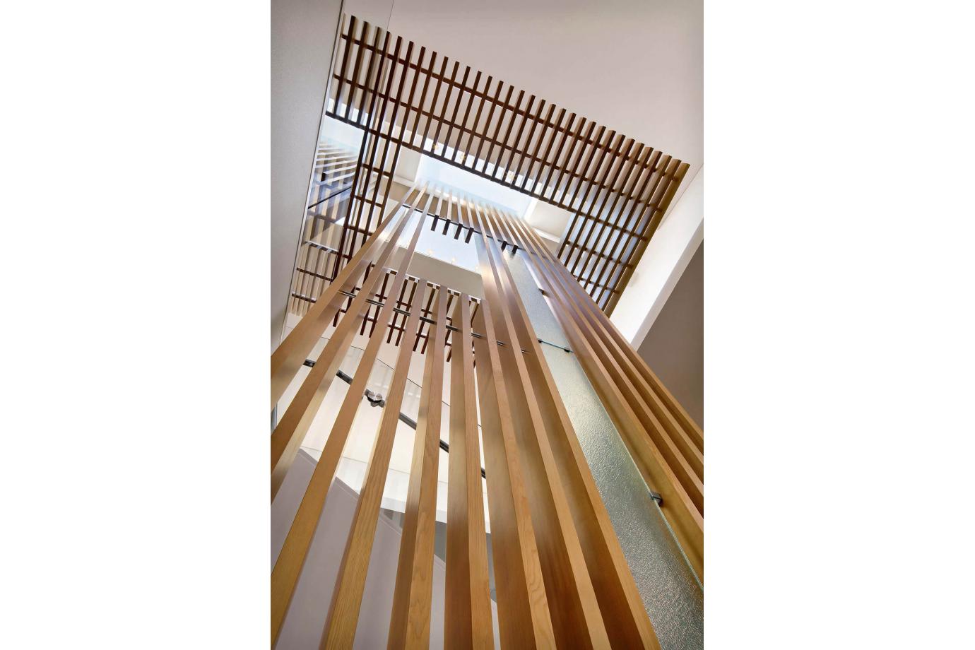 Detail of "tree canopy" diffuses the sunlight.